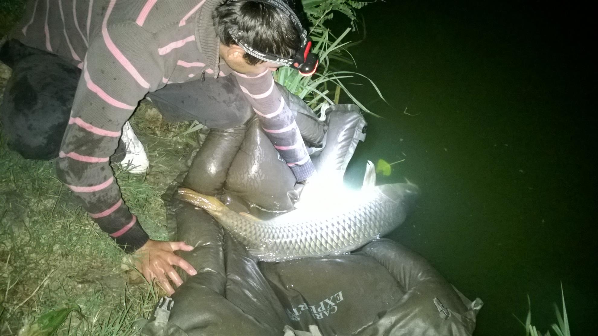 Hermes Peris 12 - 14 septembrie 2014 - wp20140914015.jpg